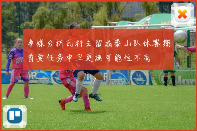 鲁媒分析瓦科去留成泰山队休赛期首要任务中卫更换可能性不高