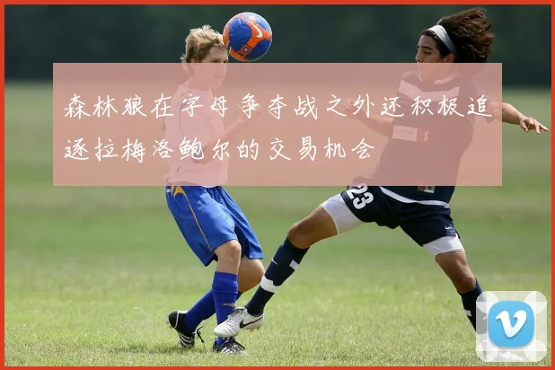 森林狼在字母争夺战之外还积极追逐拉梅洛鲍尔的交易机会