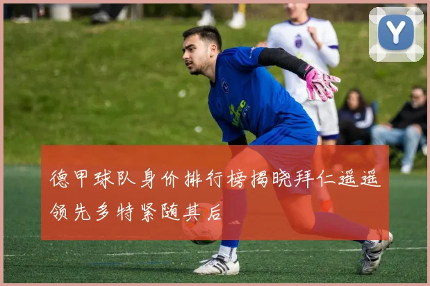 德甲球队身价排行榜揭晓拜仁遥遥领先多特紧随其后